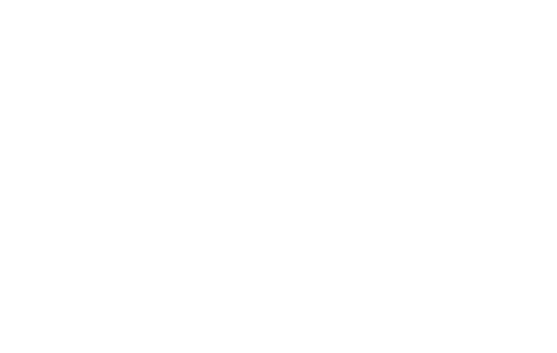 Singla Agrotech Logo